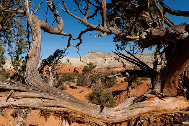 53 kodachrome basin.jpg